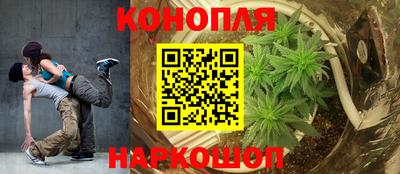 гидра Новодвинск
