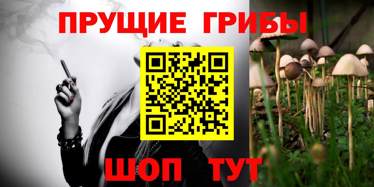 Галлюциногенные грибы GOLDEN TEACHER Саранск